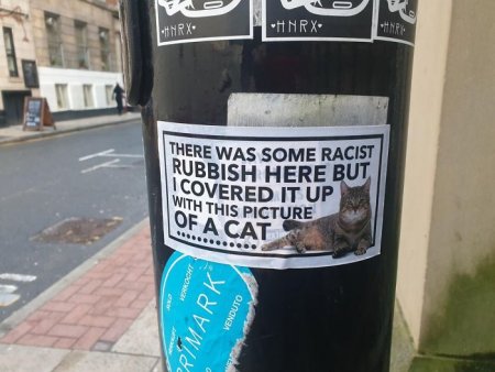 В Манчестере борются с расистскими граффити наклейками с котами.