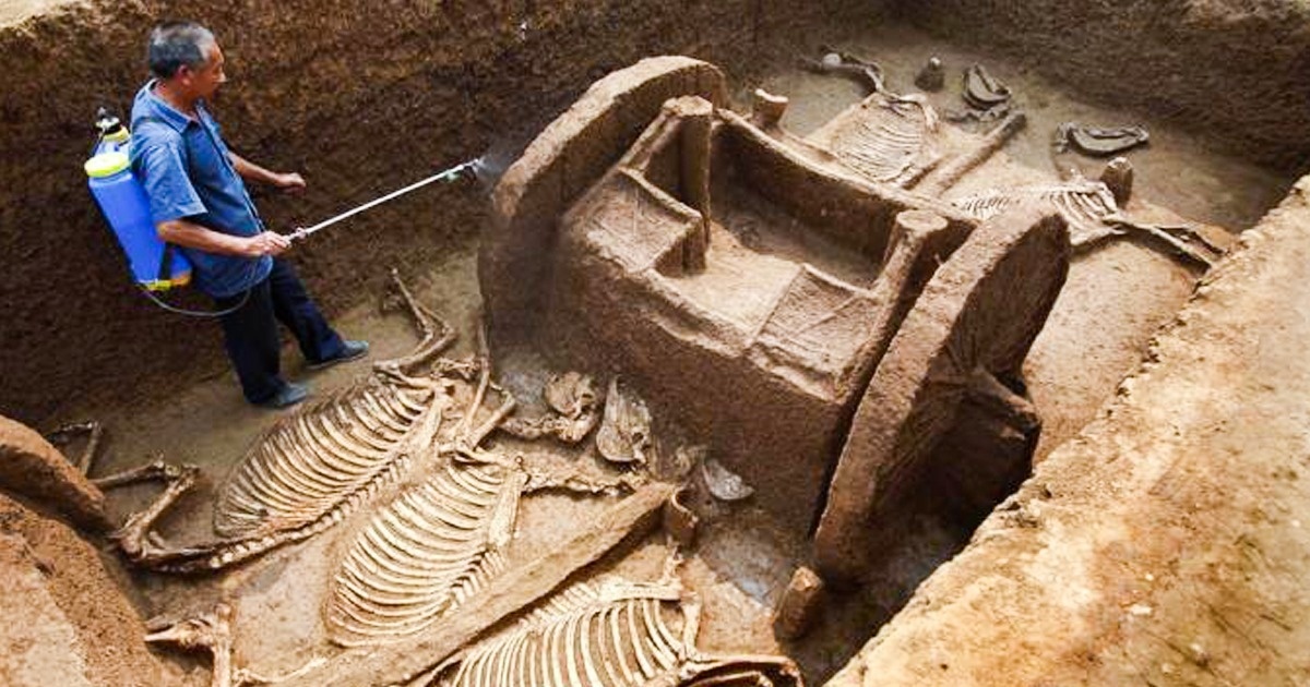 10 удивительных археологических находок, которые были чисто случайными