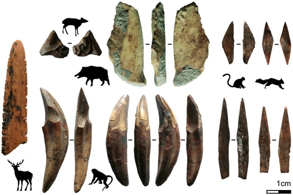 Оружие и одежду возрастом 48 тысяч лет нашли в Шри-Ланке