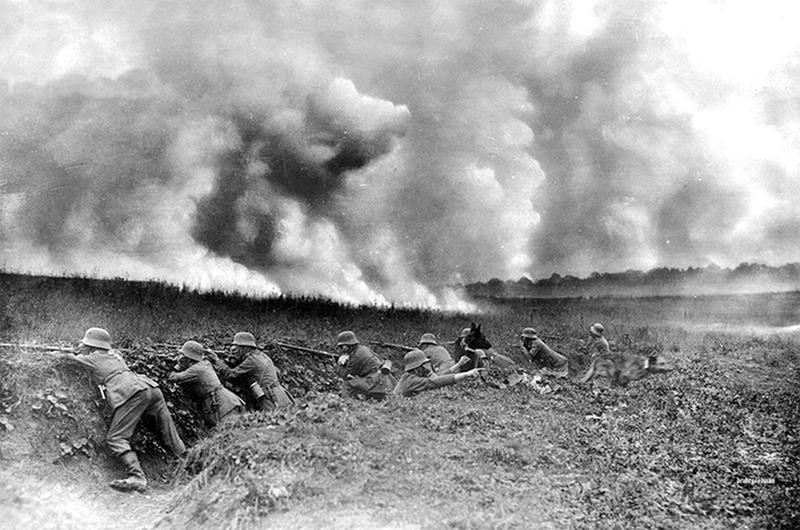 Первая мировая война в фотографиях: Животные, ушедшие на войну